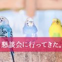 保育園の保護者懇談会に（妻が）行ってきた！内容は？父親の参加は？