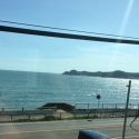 【特急わかしお】で鴨川シーワールドへ！海側の席がおすすめ！